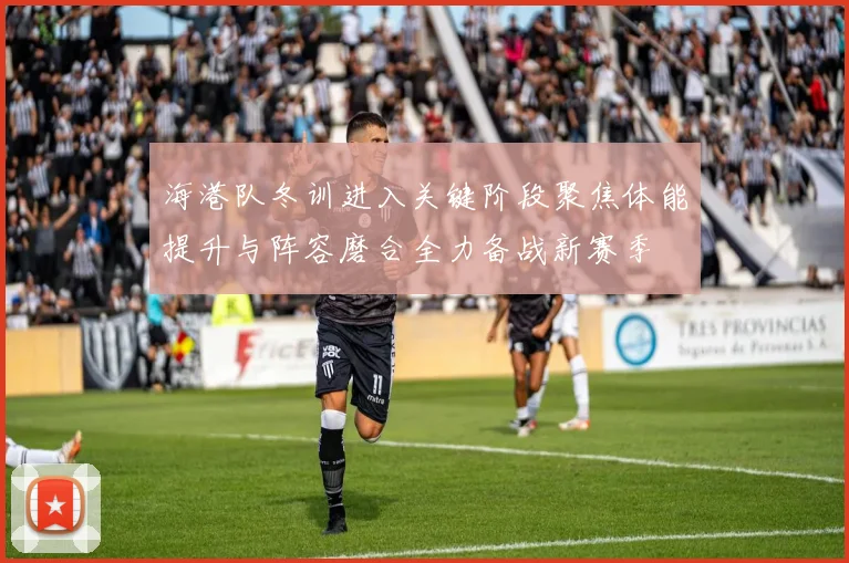 海港队冬训进入关键阶段聚焦体能提升与阵容磨合全力备战新赛季