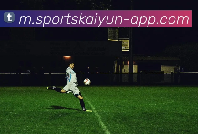 App Interface Preview